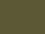 Lambriu PVC maron deschis 10cm 8mm